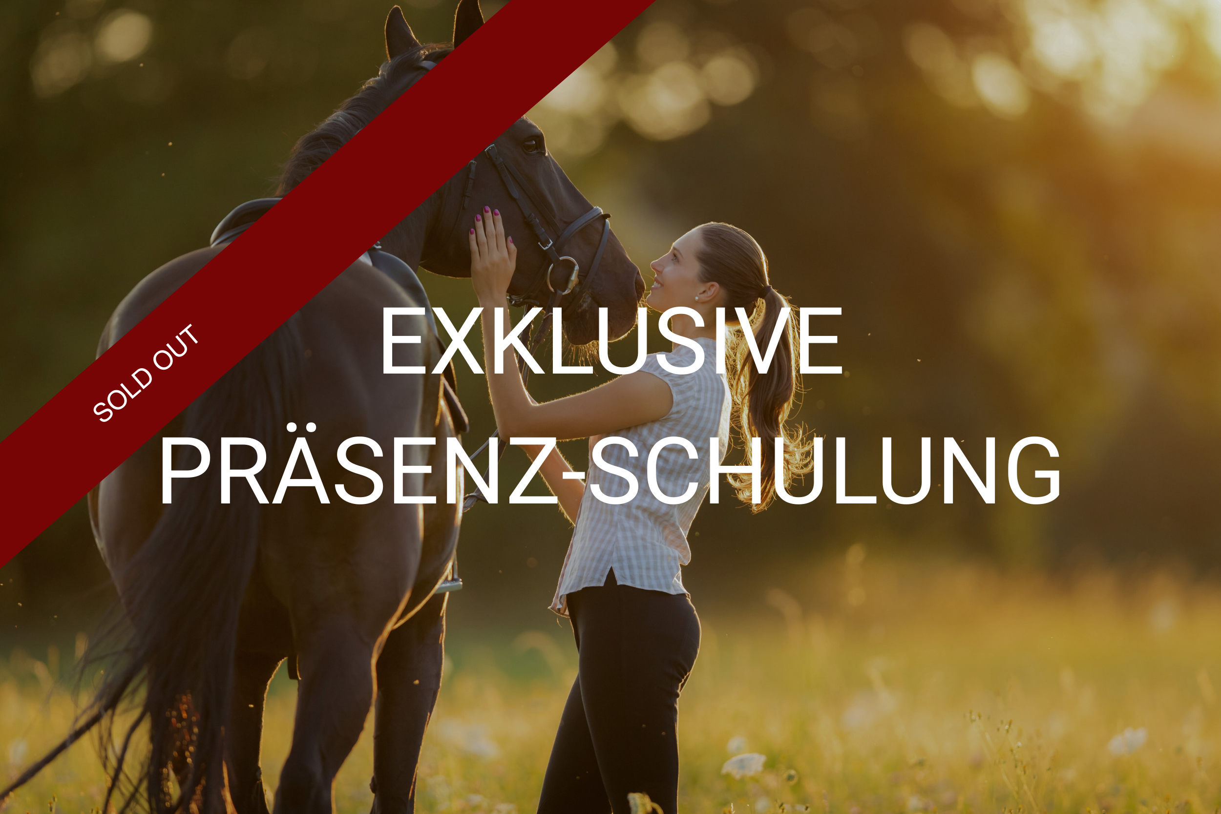 Exklusiv-Schulung_pferd_sold out