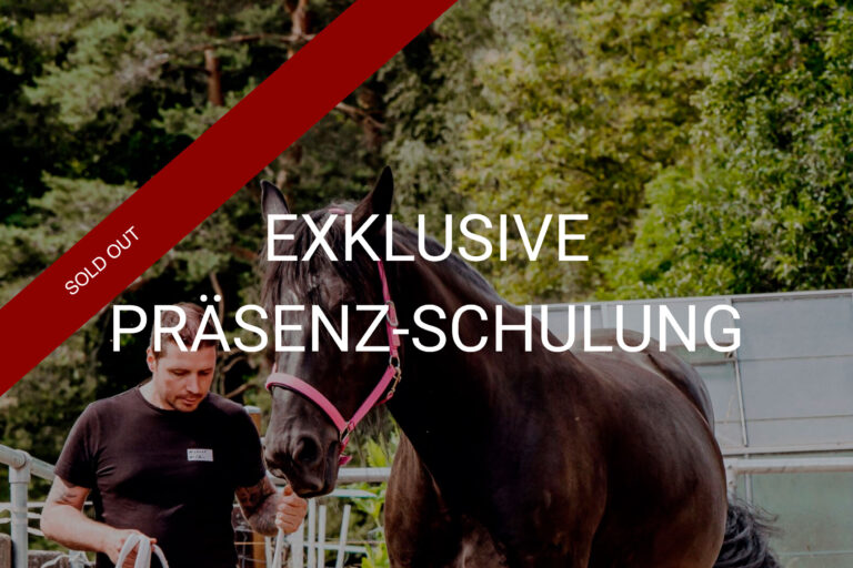 Exklusive_Präsenz-Schulung__sold_out-(1)_opt-Mobile