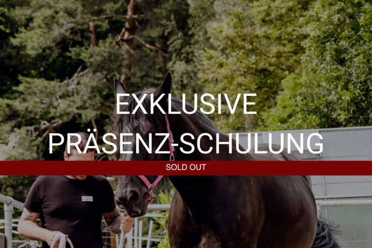 exklusiv_präsenz_sold_out_neu-Mobile